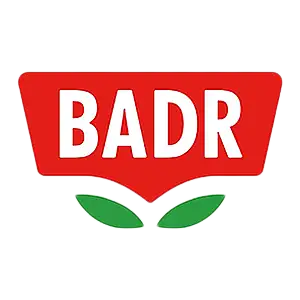 بدر