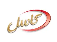 کاسل