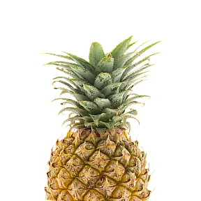میوه