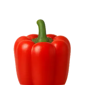 صیفی