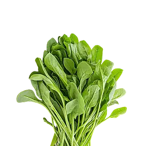 سبزی