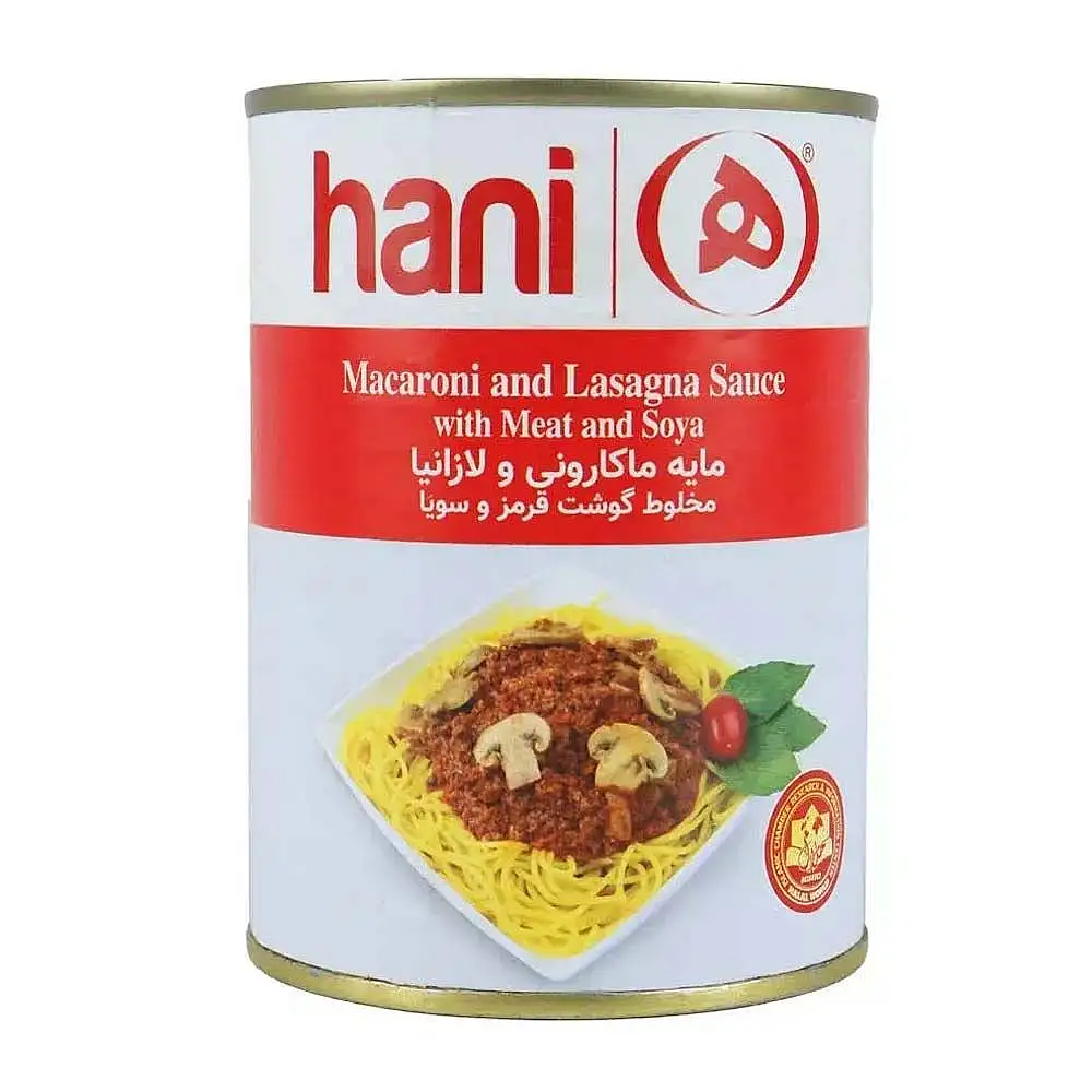 پک مایه ماکارونی و لازانیا هانی 380 گرمی بسته 3 عددی