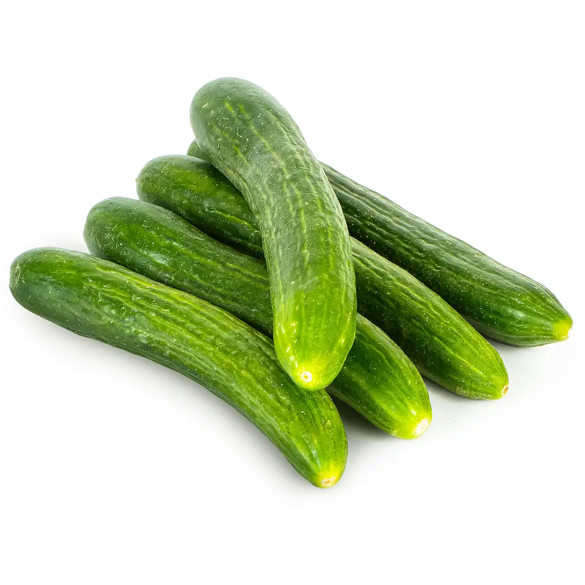خیار بوته ای 500 گرمی