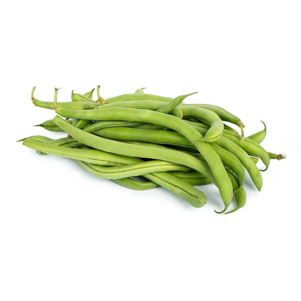 لوبیا سبز 500 گرمی