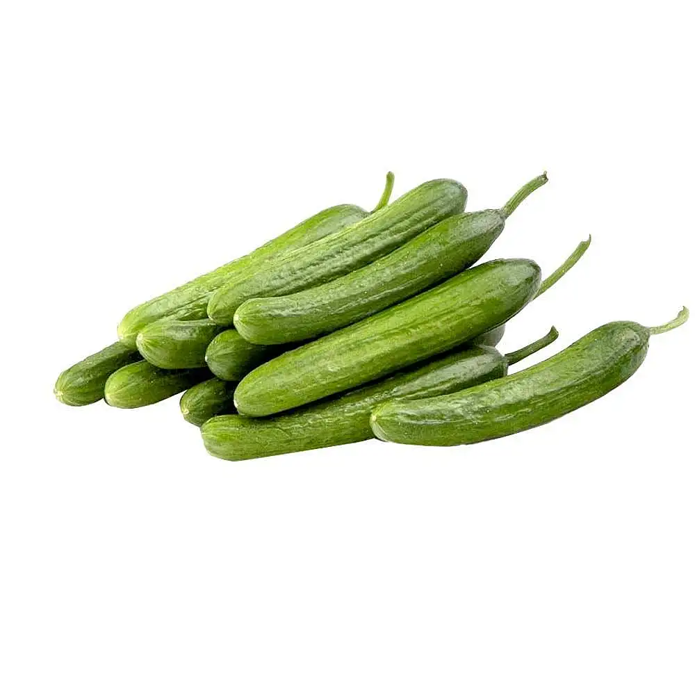 خیار گلخانه ای فامیلی 700 گرمی