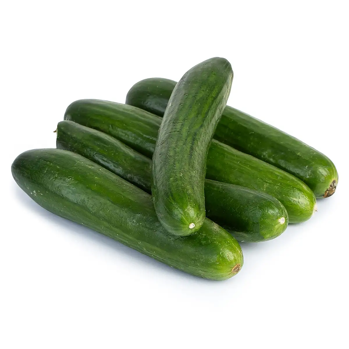 خیار گلخانه‌ای 500 گرمی