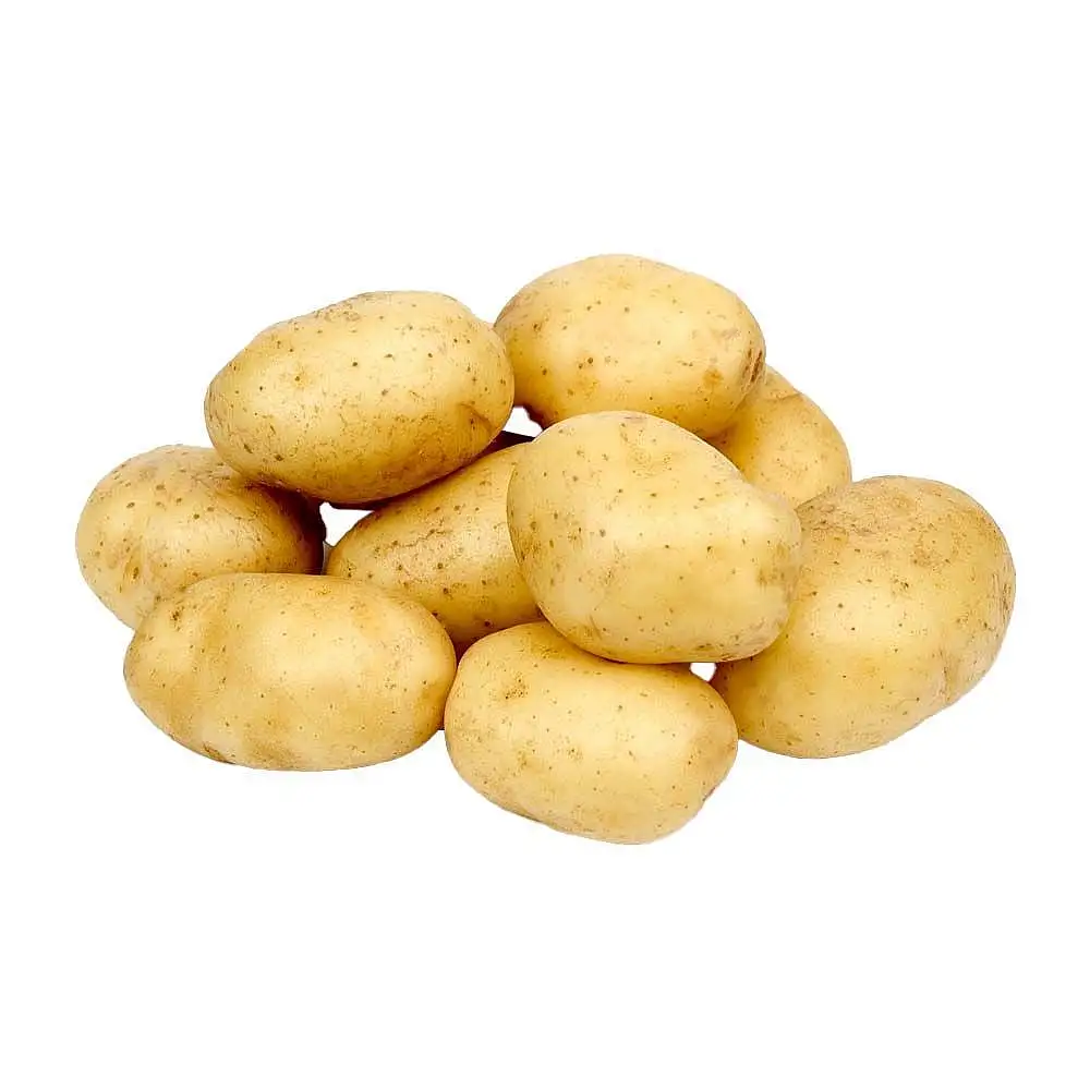 سیب زمینی 1 کیلوگرمی