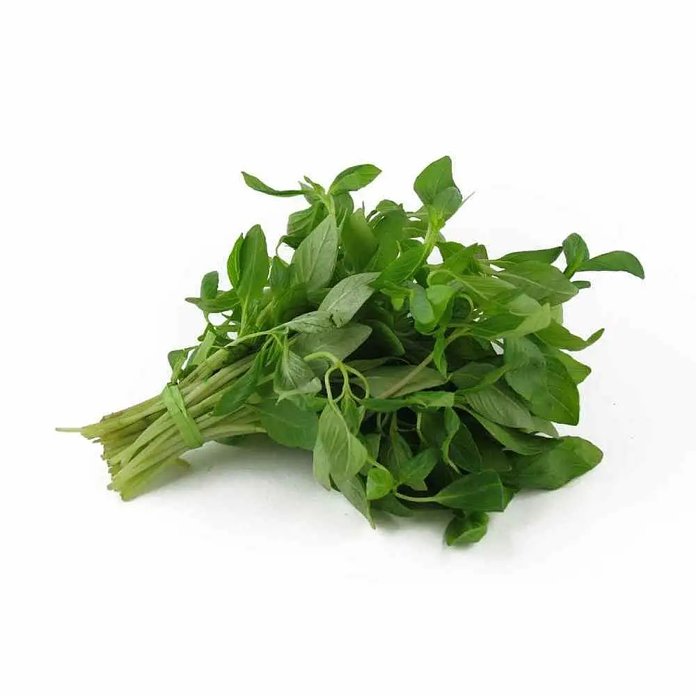 ریحان سبز 100 گرمی