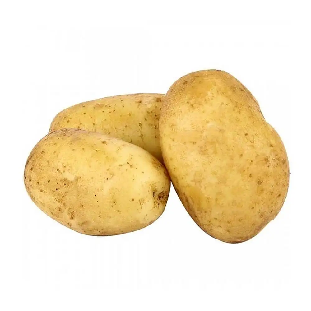 سیب زمینی درشت 1 کیلوگرمی